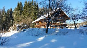 Bild 20: Waldhaus Sonnenberg Fewo 4 - Traum von absoluter Ruhe und Erholung