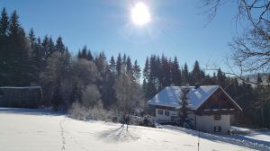 Bild 18: Waldhaus Sonnenberg Fewo 4 - Traum von absoluter Ruhe und Erholung