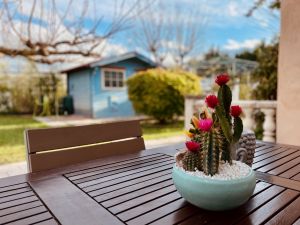 Bild 7: Appartment an der Cote D‘Azur mit eigenem Garten und 20 min zum Meer