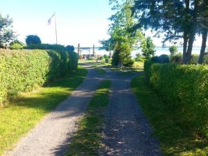 Bild 4: Ferienhaus Ewa in Stahlbrode nah am Wasser