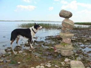 Bild 5: Ferienhaus Ewa in Stahlbrode nah am Wasser