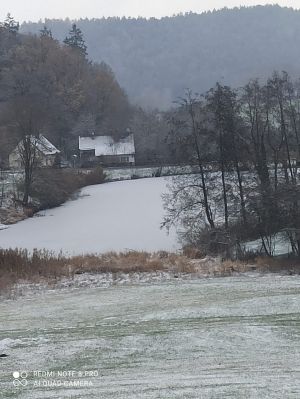 Ausblick vom Eingang auf die Winterlandschaft - Bild 18: Ferienhaus Nr. 44 - Falkenstein Bayer. Wald TOP Reisetipp!