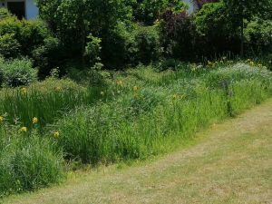 mit Goldfischen ziert ebenfalls den Vorgarten vor der Terrasse - Bild 14: Ferienhaus Nr. 44 - Falkenstein Bayer. Wald TOP Reisetipp!