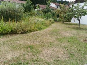 Blick von Terrasse auf Vorgarten - Bild 13: Ferienhaus Nr. 44 - Falkenstein Bayer. Wald TOP Reisetipp!