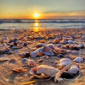 Bild 20: D13 Urlaub mit dem Ostseestrand vor der Haustür mit 2 SZ & Terrasse, Rügen