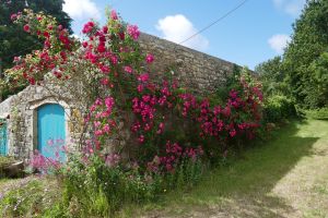 Bild 5: großzügiges Bauernhaus mit Sauna in der Bretagne