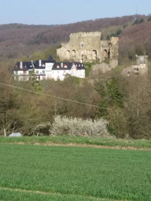 Bild 17: Ferienwohnung Schwalbennest im Welterbe Oberes Mittelrheintal