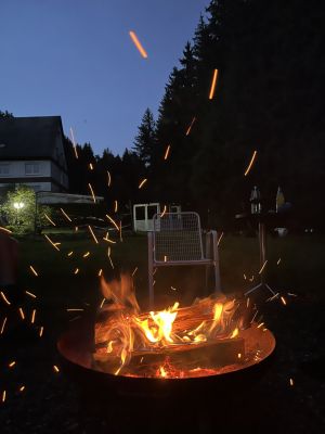 Bild 15: Alte Mühle - 2 Zi. FeWo Betti