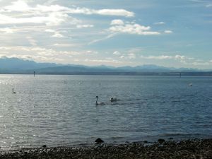 Hintergrund Alpenpanorama - Bild 23: Ferienwohnung Mehl in Immenstaad/Bodensee - mit Panorama-See- u. Alpenblick