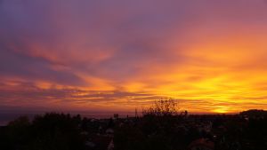 in Immenstaad - Bild 14: Ferienwohnung Mehl in Immenstaad/Bodensee - mit Panorama-See- u. Alpenblick