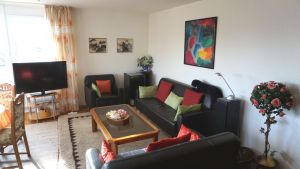 Gemütliche Ledersofas - Bild 5: Ferienwohnung Mehl in Immenstaad/Bodensee - mit Panorama-See- u. Alpenblick