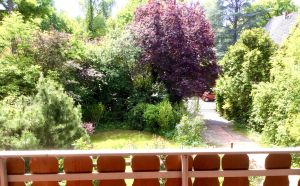 Bild 13: Ruhige und helle Wohnung auf Zeit, Berlin Gatow, 75 m2