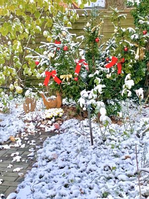 Bild 22: Ruhige und helle Wohnung auf Zeit, Berlin Gatow, 75 m2