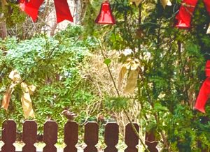 Bild 21: Ruhige und helle Wohnung auf Zeit, Berlin Gatow, 75 m2