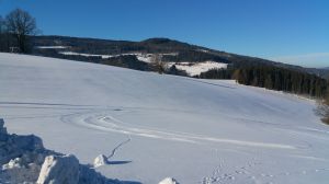Bild 11: Waldhaus Sonnenberg Fewo 3 - Ruhe u. Erholung pur