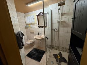 Bad mit Dusche und Pflegeutensilien - Bild 14: Ferienwohnung am Moosweiher