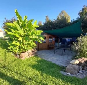 Garten - Bild 18: Ferienwohnung am Moosweiher