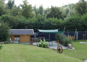 Garten - Bild 19: Ferienwohnung am Moosweiher