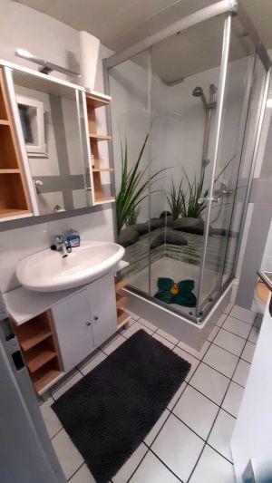 Bad mit WC - Bild 10: Ferienwohnung am Moosweiher auch für Wochenendheimfahrer geeignet