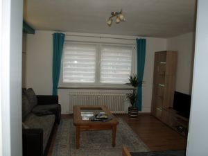 Wohnschlafzimmer - Bild 3: Ferienwohnung am Moosweiher auch für Wochenendheimfahrer geeignet