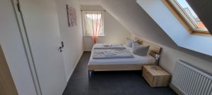 Bild 15: Wismarer Kogge Steuerbord: hochwertig, stilvoll für bis zu 6 Gäste mit Hund