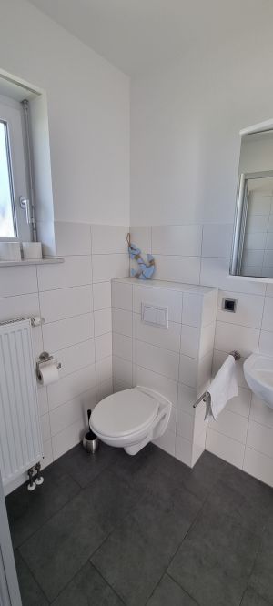 Bild 11: Wismarer Kogge Steuerbord: hochwertig, stilvoll für bis zu 6 Gäste mit Hund