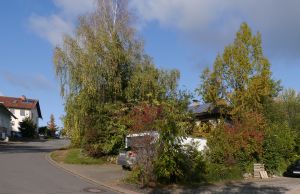 ... im Herbst - Bild 14: Odins Ferienwohnung - Ankommen und Wohlfühlen