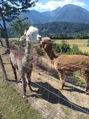 Bild 6: Ferienwohnung Petra Kaiser