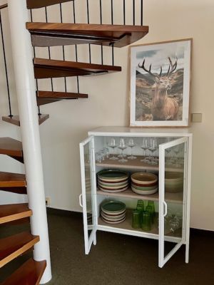 Hochwertiges Steingutgeschirr, Wein- Wasser-, Sekt-, Schnapsgläser, hochwertige und geschmackvolle Ausstattung - Bild 13: Ferienwohnung Tannenduft im Schwarzwald