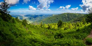 Traumhafte Location für den Urlaub im Schwarzwald, Wandern, Radfahren, Hundetraining, Skifahren, Langlauf, Wellness und mehr. - Bild 7: Ferienwohnung Tannenduft im Schwarzwald