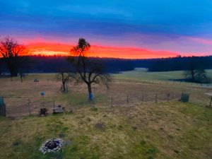 Bild 21: Kellerstöckl auf der "Varm - the vegan Farm" - der bio-vegane Lebenshof