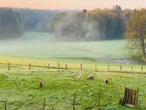 Bild 23: Kellerstöckl auf der "Varm - the vegan Farm" - der bio-vegane Lebenshof