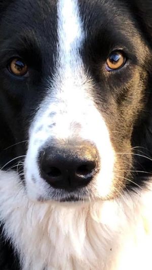 Bild 28: Kellerstöckl auf der "Varm - the vegan Farm" - der bio-vegane Lebenshof