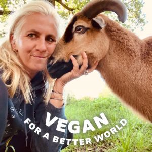Bild 31: Kellerstöckl auf der "Varm - the vegan Farm" - der bio-vegane Lebenshof
