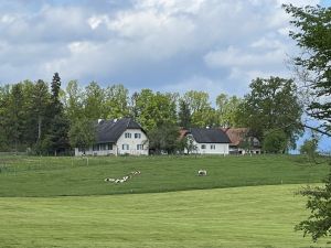 Bild 39: Kellerstöckl auf der "Varm - the vegan Farm" - der bio-vegane Lebenshof