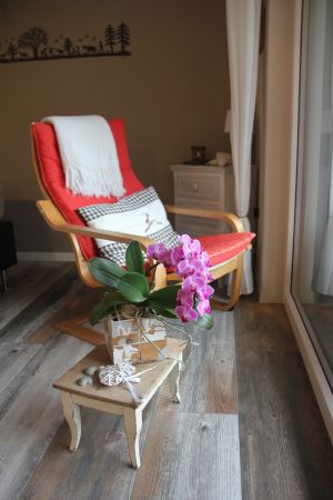 Mit Aussicht in den Garten ein Buch geniessen - Bild 5: Studio Bergwohl in Grindelwald