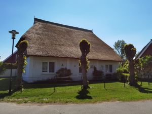 Bild 14: Eingezäuntes Ferienhaus Nora