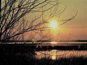 Bild 18: Eingezäuntes Ferienhaus Nora