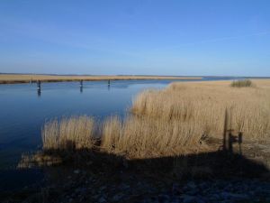 Bild 8: Ferienhaus Bernd in Bresewitz, kurz vor Zingst