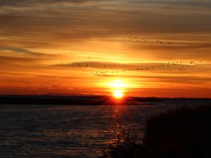 Bild 9: Ferienhaus Bernd in Bresewitz, kurz vor Zingst