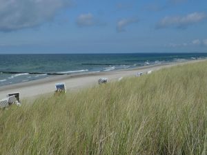 Bild 11: Ferienhaus Bernd in Bresewitz, kurz vor Zingst