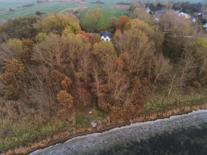 Bild 13: Ferienwohnung direkt am Wasser auf Rügen | Nahe d. Ostsee | Hunde erlaubt