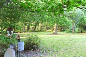 Bild 9: Ferienwohnung direkt am Wasser auf Rügen | Nahe d. Ostsee | Hunde erlaubt