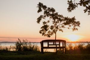 Bild 11: Ferienwohnung direkt am Wasser auf Rügen | Nahe d. Ostsee | Hunde erlaubt
