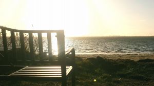 Von hier aus kann man wunderbare Sonnenuntergänge direkt am Wasser genießen - Bild 12: Fewo "Boddenbrise" | eingezäunter Garten | direkt a. Wasser | Nahe Ostsee