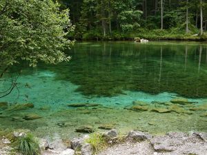 Hier gibt es dicke Fische - Bild 20: Ferienwohnung Seidenschwann, Urlaub unter der Zugspitze