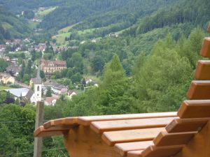 Bild 15: Ferienwohnung FalkenNest