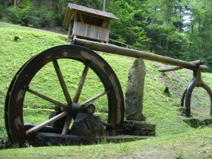 Bild 13: Ferienwohnung FalkenNest