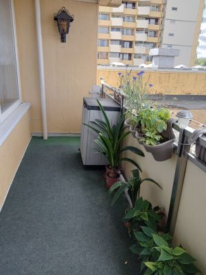 Bild 8: FeWo 416 Panoramic, Braunlage