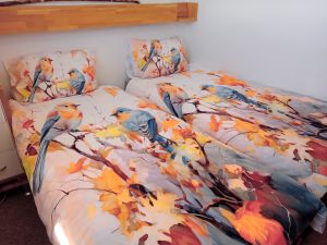 Bild 11: FeWo 416 Panoramic, Braunlage